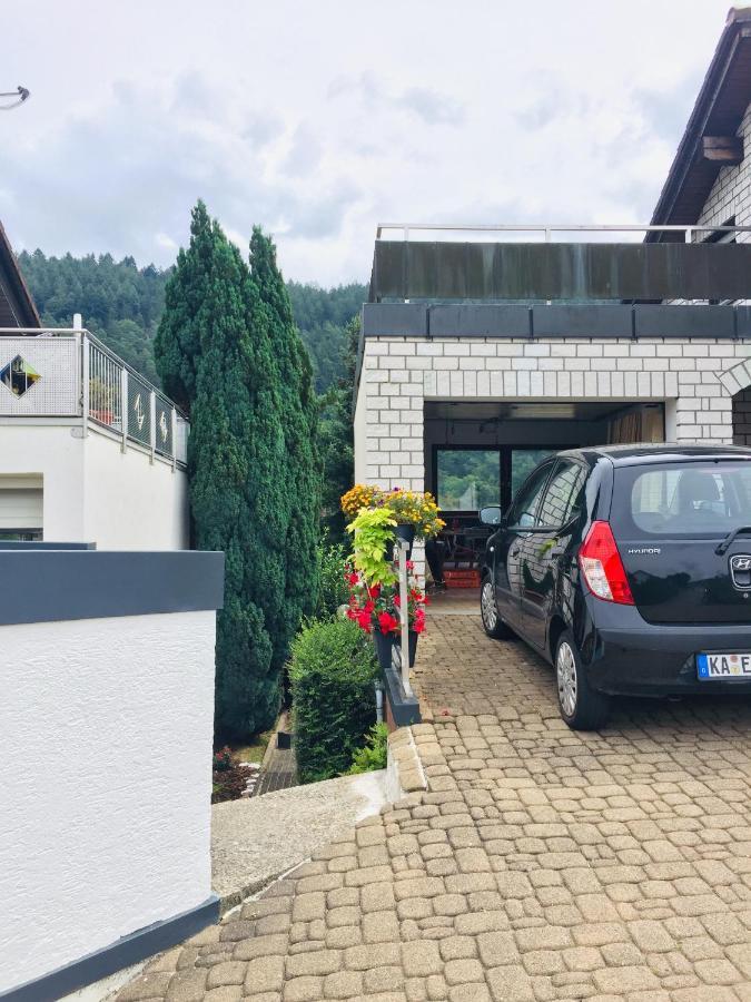 Luftkurort, Perle Des Neckartals Hirschhorn Exterior foto