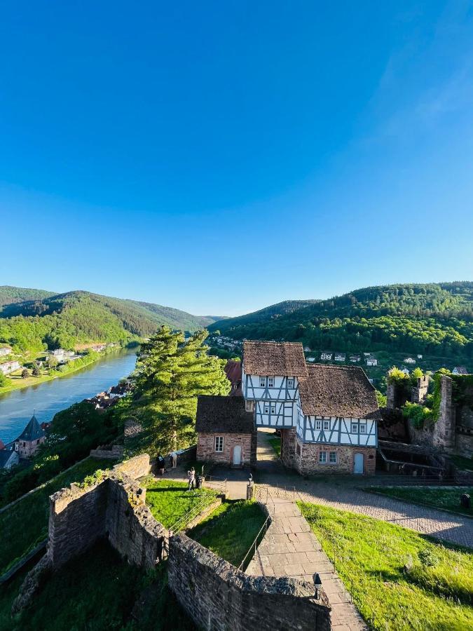 Luftkurort, Perle Des Neckartals Hirschhorn Exterior foto